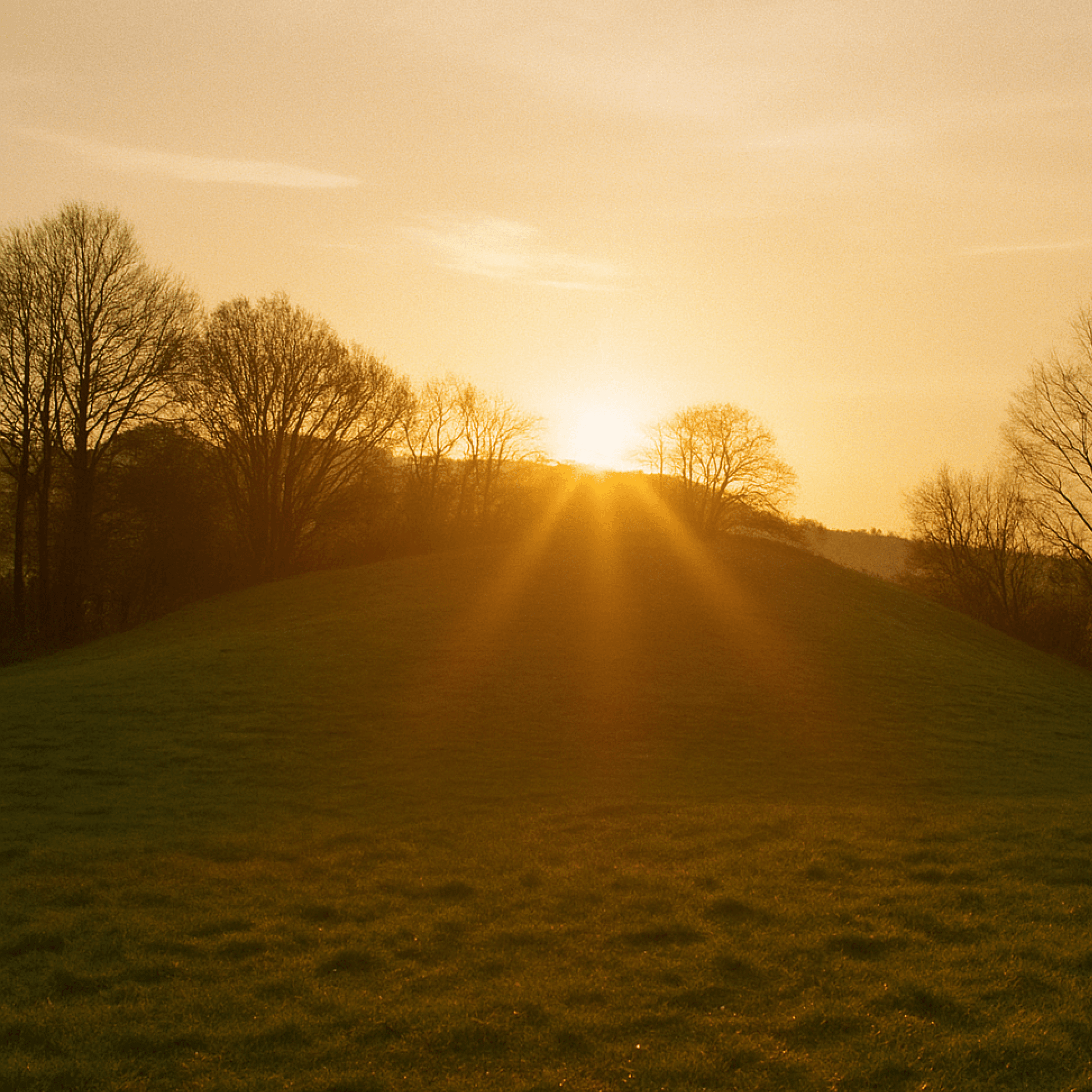 Why Seasonal Light Changes Your Mood Energy and Motivation